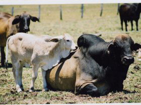 Henderson Park Farm Retreat - VIC Tourism 0