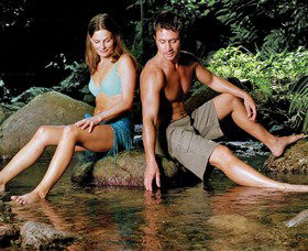 Crystal Creek Rainforest Retreat - VIC Tourism 5