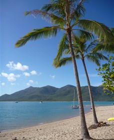 Montes Reef Resort - VIC Tourism 3