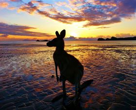 Cape Hillsborough QLD VIC Tourism