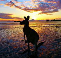 Cape Hillsborough Nature Tourist Park - VIC Tourism