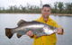 Mango Paradise Bed And Barra - thumb 1