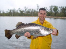 Mango Paradise Bed And Barra - VIC Tourism 1
