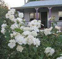 Thistledown Country Retreat - VIC Tourism