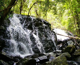 Bellthorpe Stays - Nature's Retreat - VIC Tourism 1