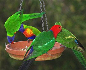 Bellthorpe Stays - Nature's Retreat - VIC Tourism 3