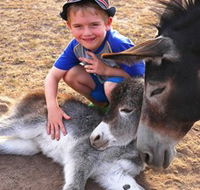 Destiny Boonah ECO Cottages and Donkey Farm - VIC Tourism