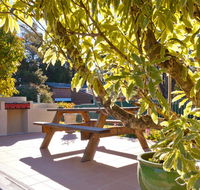 Best Western Alpine Motor Inn - VIC Tourism