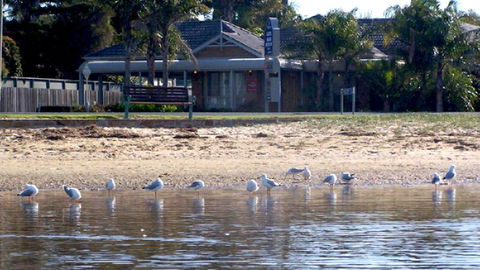 BEST WESTERN Coastal Waters Motor Inn - VIC Tourism 6
