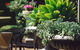 Best Western Plus The Tudor Box Hill - thumb 2
