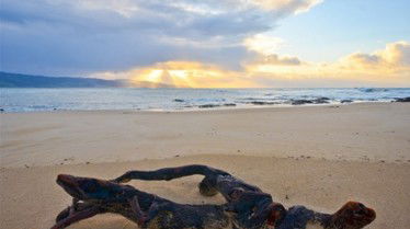 Best Western Apollo Bay Motel And Apartments - VIC Tourism 7