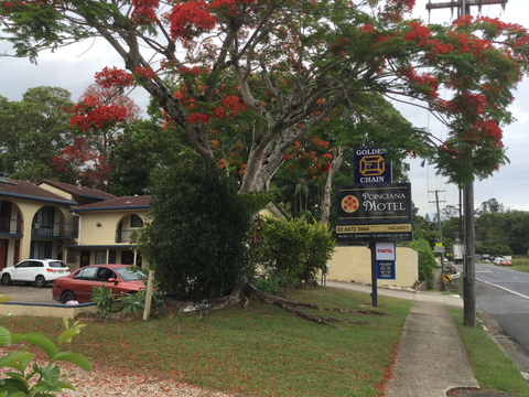 Poinciana Motel - VIC Tourism 4