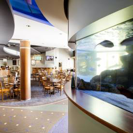 Pub Mooloolaba - VIC Tourism 4