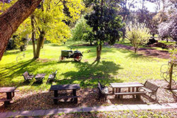 Settlers Arms Inn - VIC Tourism 3