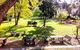 Settlers Arms Inn - thumb 18