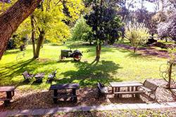 Settlers Arms Inn - VIC Tourism 18