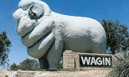 Wagin Motel - VIC Tourism 0