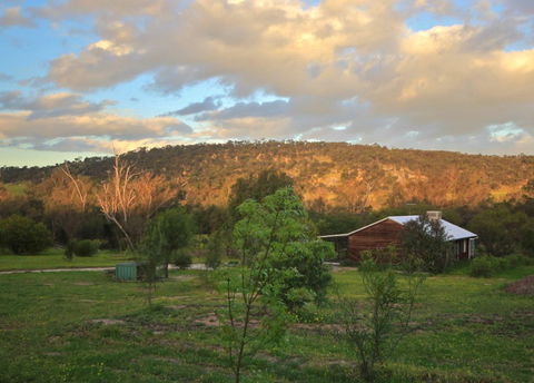 Lavendale Farmstay And Cottages - VIC Tourism 4