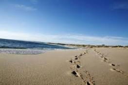 Kalbarri Palm Resort - VIC Tourism 4