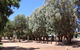 Horrocks Beach Caravan Park - thumb 1