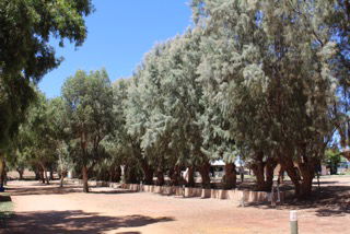Horrocks Beach Caravan Park - VIC Tourism 1