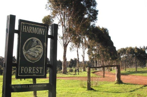 Harmony Forest - VIC Tourism 0