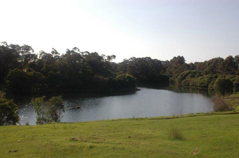 Harmony Forest - VIC Tourism 1