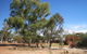 Kondinin Caravan Park - thumb 0