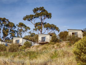 Swansea Beach Chalets - VIC Tourism 0