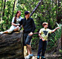 Tahune Airwalk Lodge - VIC Tourism