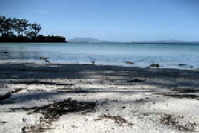 Saltwater River TAS VIC Tourism