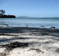 Saltwater River Convict Beach House - VIC Tourism