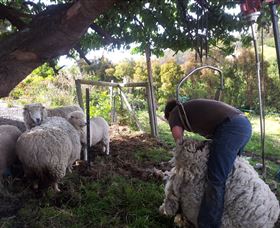 Huon Valley Backpackers - VIC Tourism 7