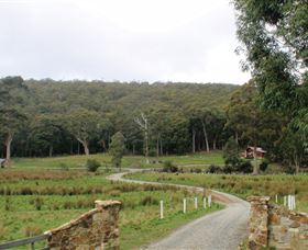 Adventure Bay Retreat Accommodation - VIC Tourism 2