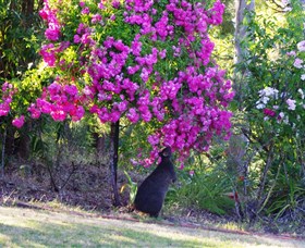 River House - The - VIC Tourism 1