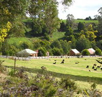 Tin Dragon Trail Cottages - VIC Tourism