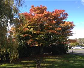 Acacia Bed And Breakfast - VIC Tourism 3