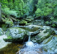 Tarkine Wilderness Experience at Corinna - VIC Tourism