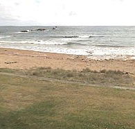 Penguin Caravan Park - VIC Tourism