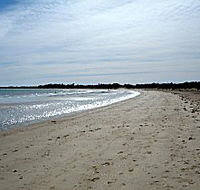 Greens Beach Caravan Park - VIC Tourism