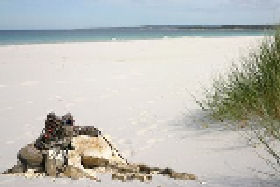 Retreats And Lodges Wattle Hill VIC VIC Tourism