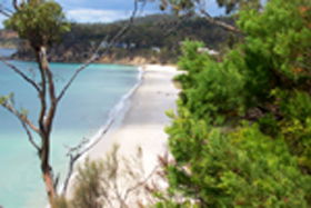 Spring Beach TAS VIC Tourism