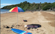 Sandpiper Motel - thumb 15