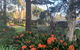 Treetops Bed And Breakfast - thumb 6