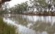 Riverbank Caravan Park - thumb 0