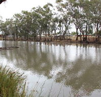 Riverbank Caravan Park - VIC Tourism