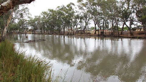 Riverbank Caravan Park - VIC Tourism 0