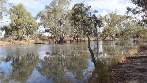 Riverbank Caravan Park - VIC Tourism 5