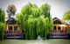 Perricoota Vines Retreat Echuca Moama - thumb 0