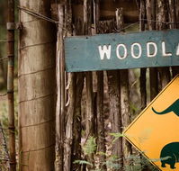 Woodlands Rainforest Retreat - VIC Tourism